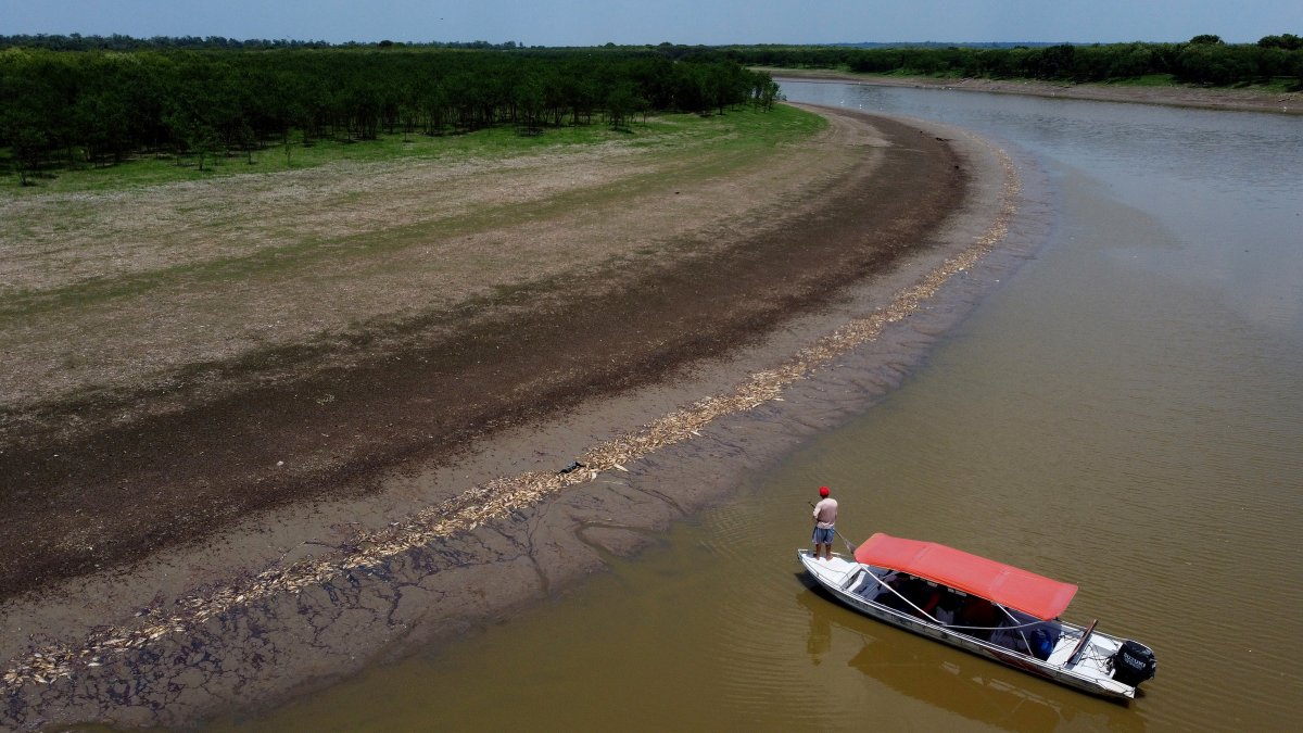 Brazil's Amazon faces drought and high water temperatures, causing more than 100 dolphins to die – NBC4 Washington - Vimarsana News