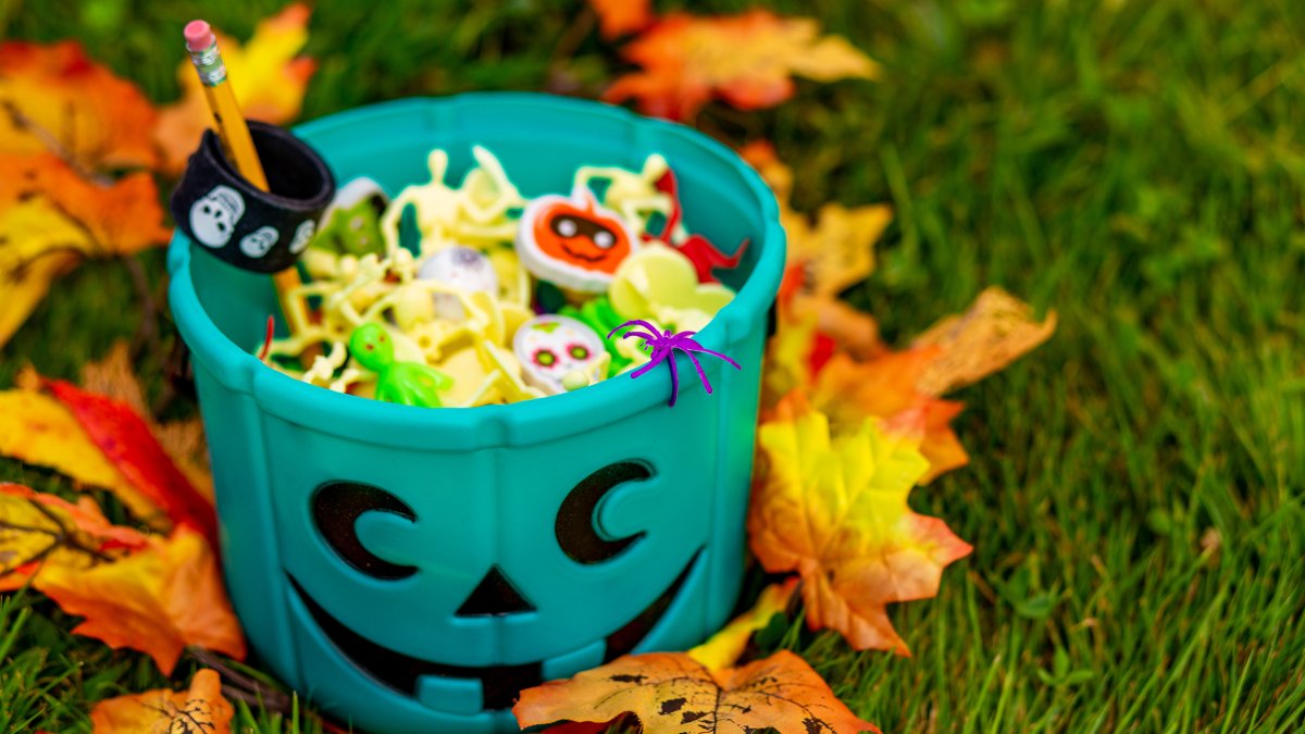 Why the Teal Pumpkin Project matters and how to participate – NBC4 Washington - Vimarsana News