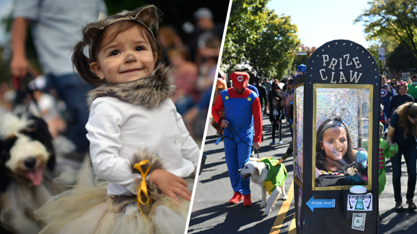 It’s a big weekend for Halloween in the D.C> area.