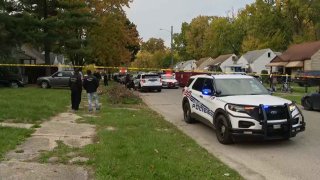 A 4-year-old boy was mauled to death by one or two loose dogs in a Detroit neighborhood on Wednesday.