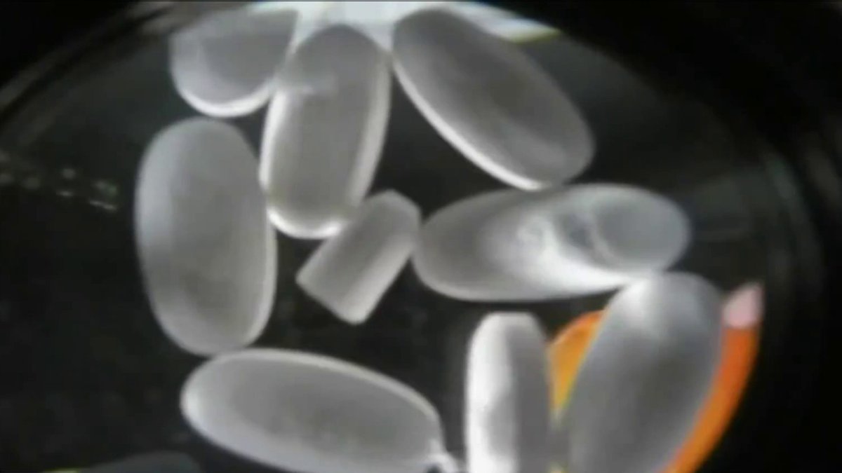 Montgomery Co. parents, leaders try to tackle opioid crisis, image size:1200x675