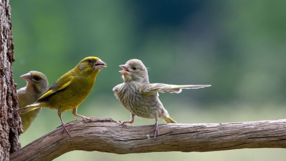 Comedy Wildlife Photography Awards 2023: See the funniest winners – NBC4 Washington - Vimarsana News