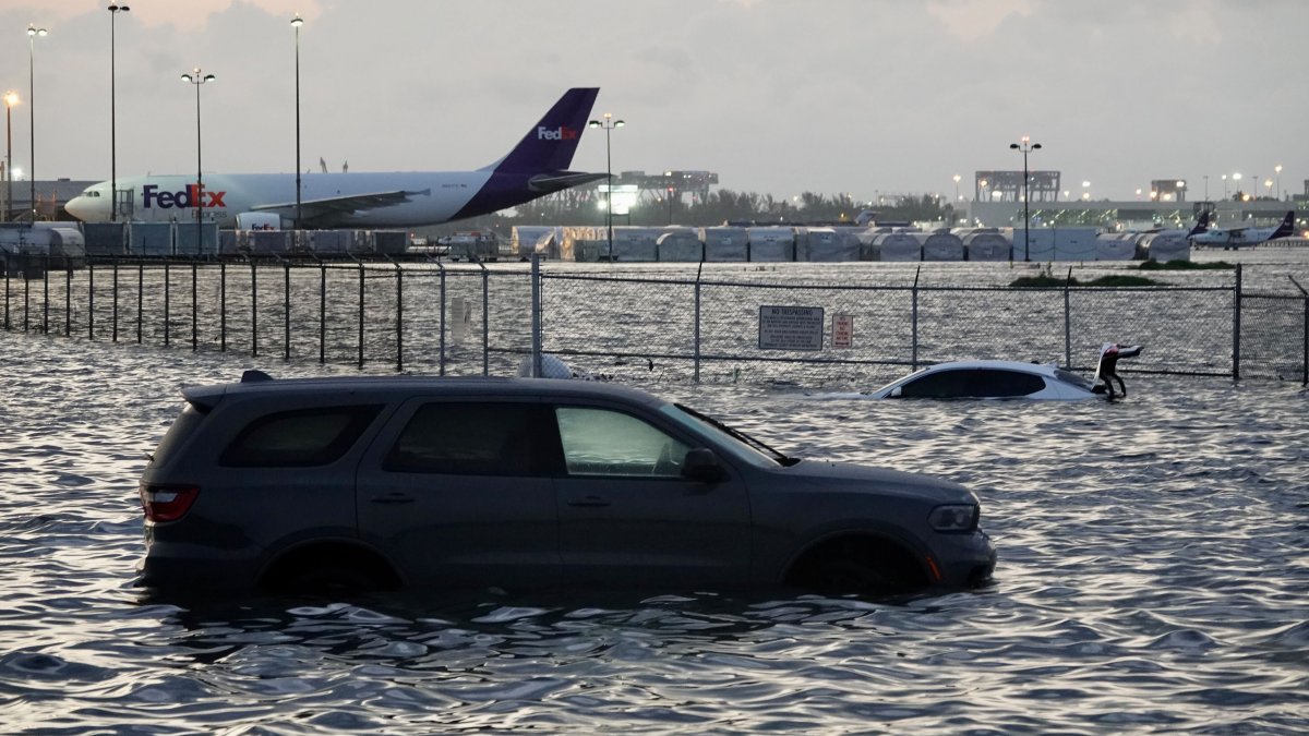 Fort Lauderdale is 2023's wettest city in the US. See how much rain fell – NBC4 Washington - Vimarsana News