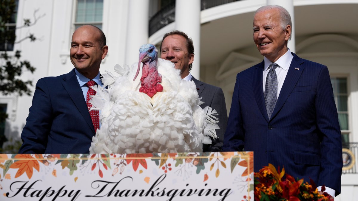 Biden spends 81st birthday pardoning Thanksgiving turkeys – NBC4 Washington - Vimarsana News
