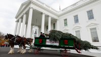 White House holiday decorations show the festive season through the ‘sparkling eyes of children'