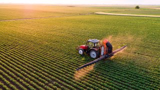 Serbia, Vojvodina, Aerial view of a tractor spraying soybean crops