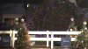 Wind topples National Christmas Tree at White House – but lighting ceremony is saved