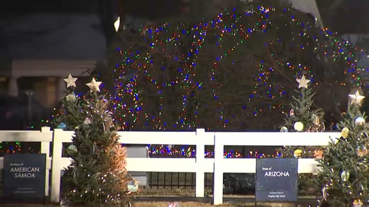 Wind topples National Christmas Tree at White House NBC4 Washington