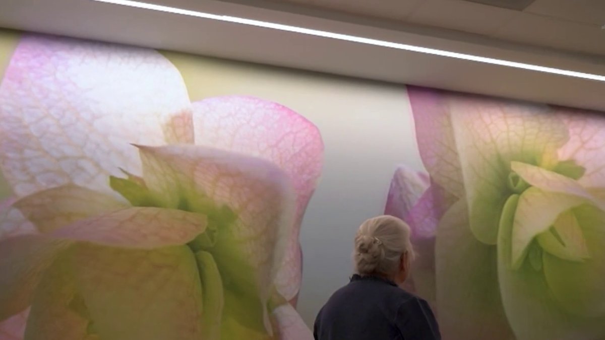 Arlington hospital opens new center designed for female patients NBC4