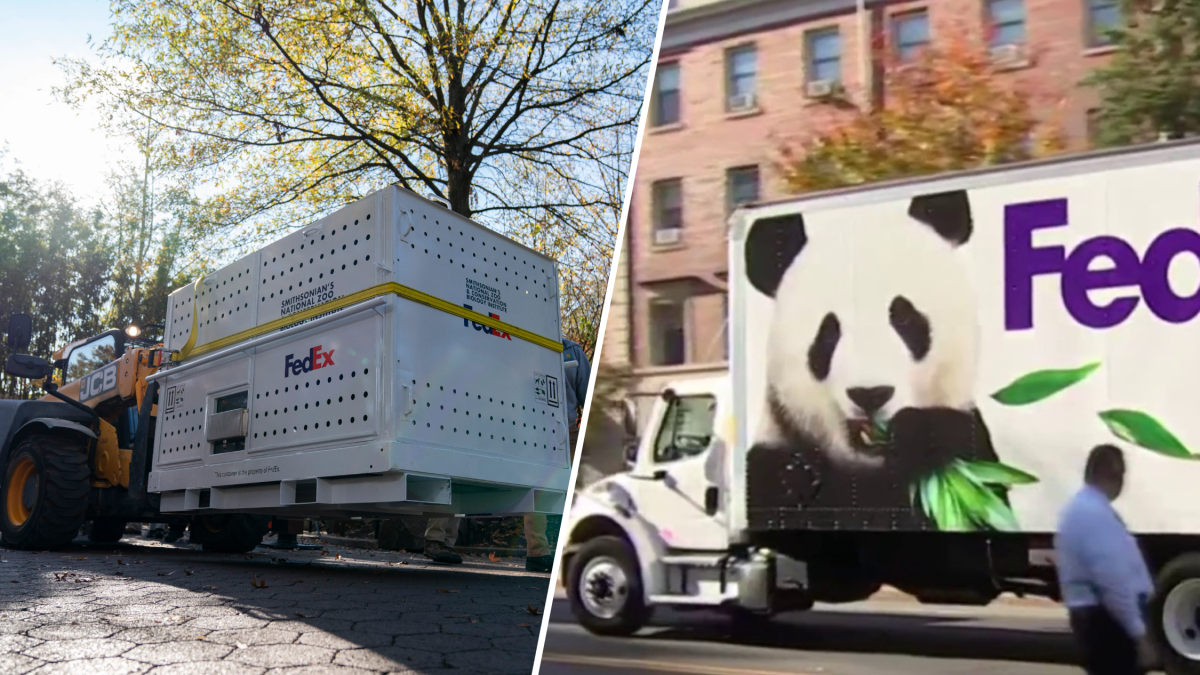 The National Zoo pandas are leaving DC for China today – NBC4 Washington - Vimarsana News