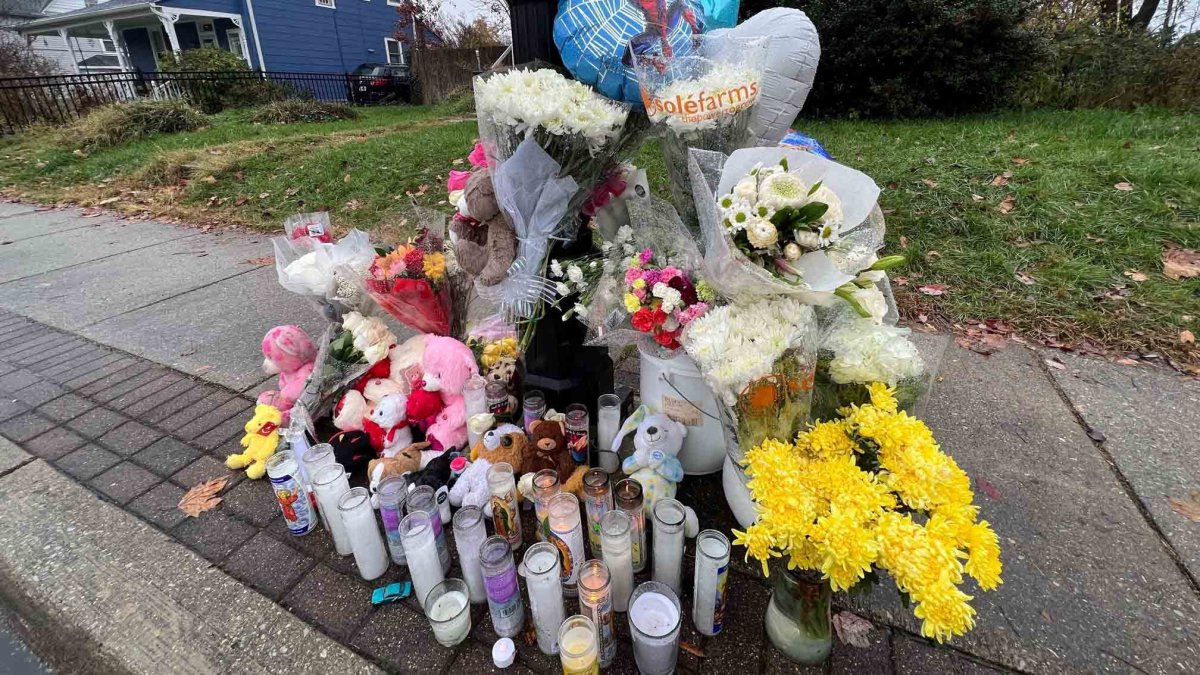 5-year-old and 10-year-old hit and killed near Maryland school – NBC4 Washington - Vimarsana News