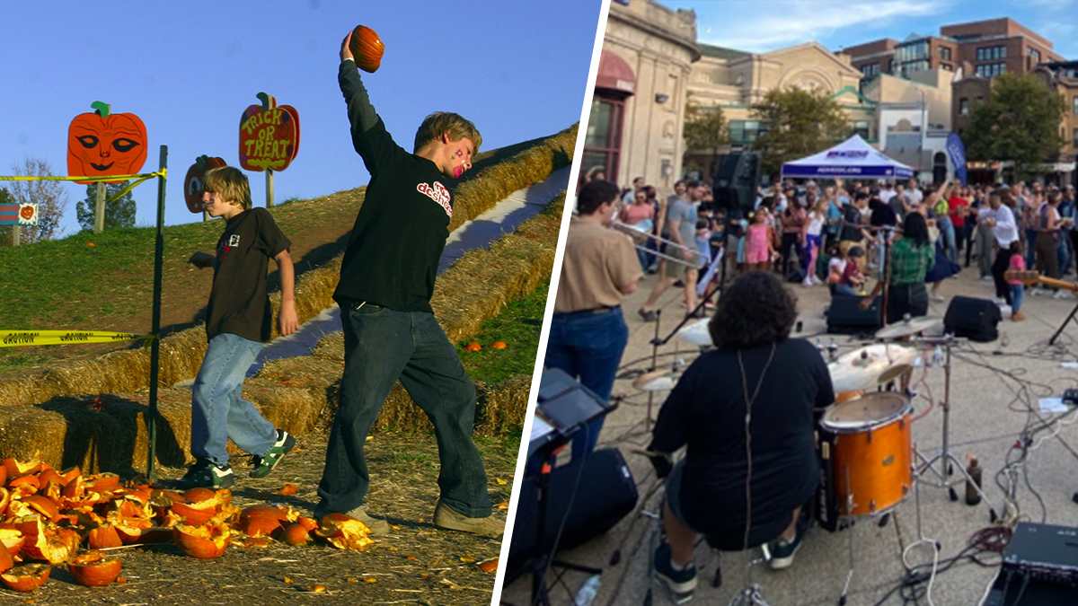 The Weekend Scene: 10+ things to do in the DC area Nov. 3-5 – NBC4 Washington - Vimarsana News