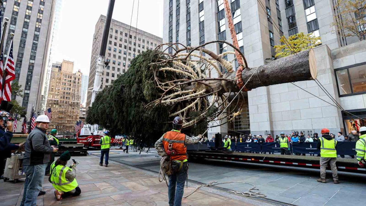 Rockefeller Center Christmas tree What to know NBC4 Washington