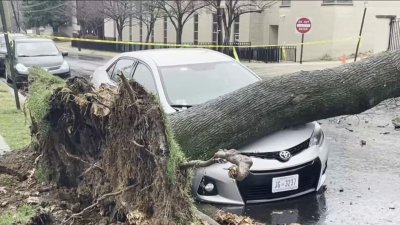 Heavy rain, strong winds leave damage in DC