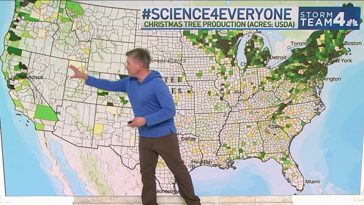 Where do Christmas trees come from? Here are the top US locations