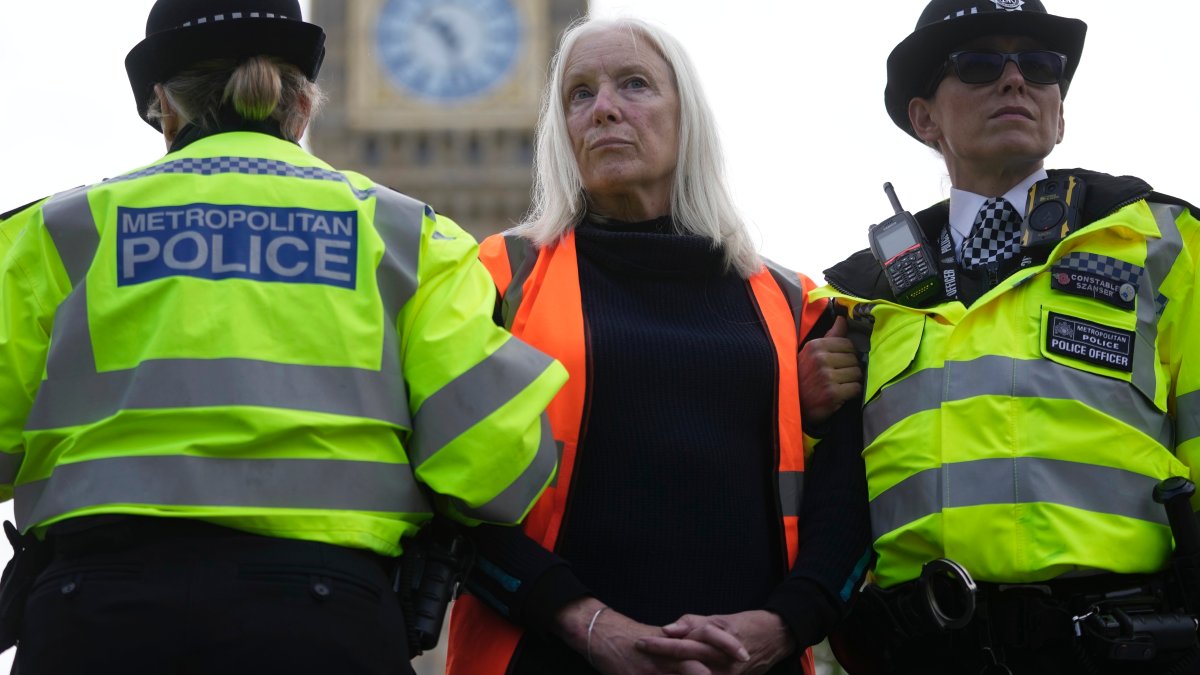 British law allows for the arrest of protesters in certain situations – NBC4 Washington - Vimarsana News