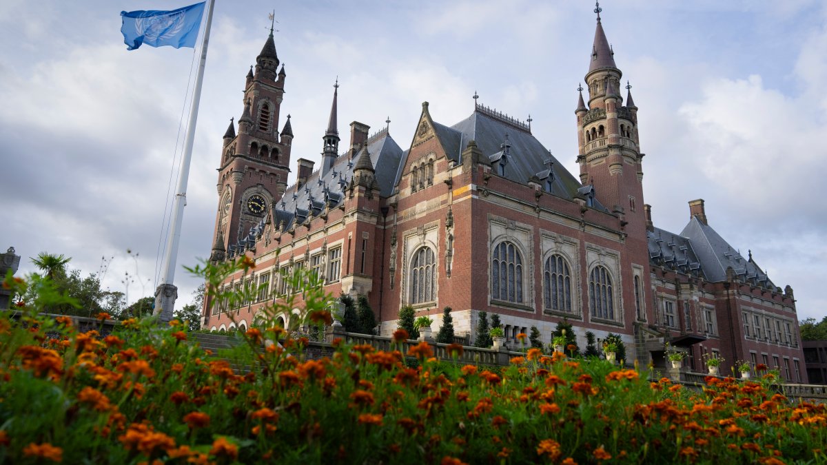 UN court set to issue ruling in South Africa genocide case against Israel – NBC4 Washington - Vimarsana News