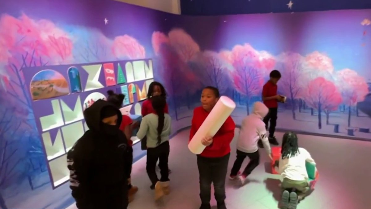 Inside the National Building Museum's new exhibit Building Stories – NBC4 Washington - Vimarsana News