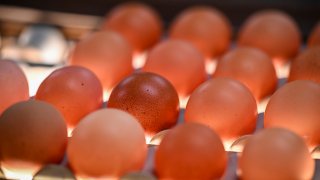 Avian flu is devastating farms in California's ‘Egg Basket' as outbreaks roil poultry industry