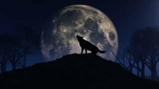 January's Full Wolf Moon