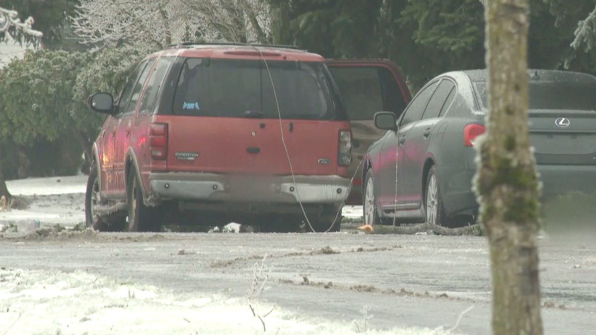 3 dead after power line falls on SUV during Portland ice storm – NBC4 Washington - Vimarsana News