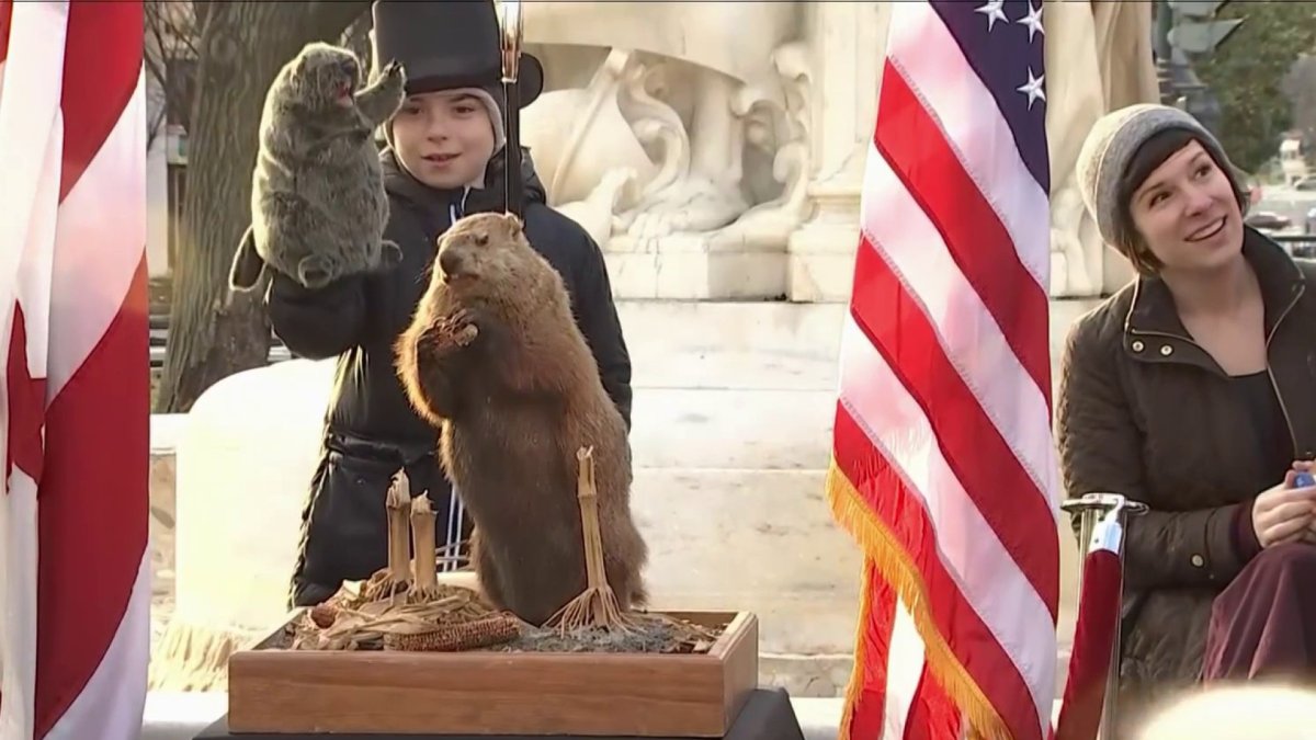 Potomac Phil ready to make his Groundhog Day prediction NBC4 Washington