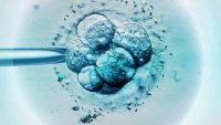 Alabama lawmakers aim to approve immunity laws for IVF providers