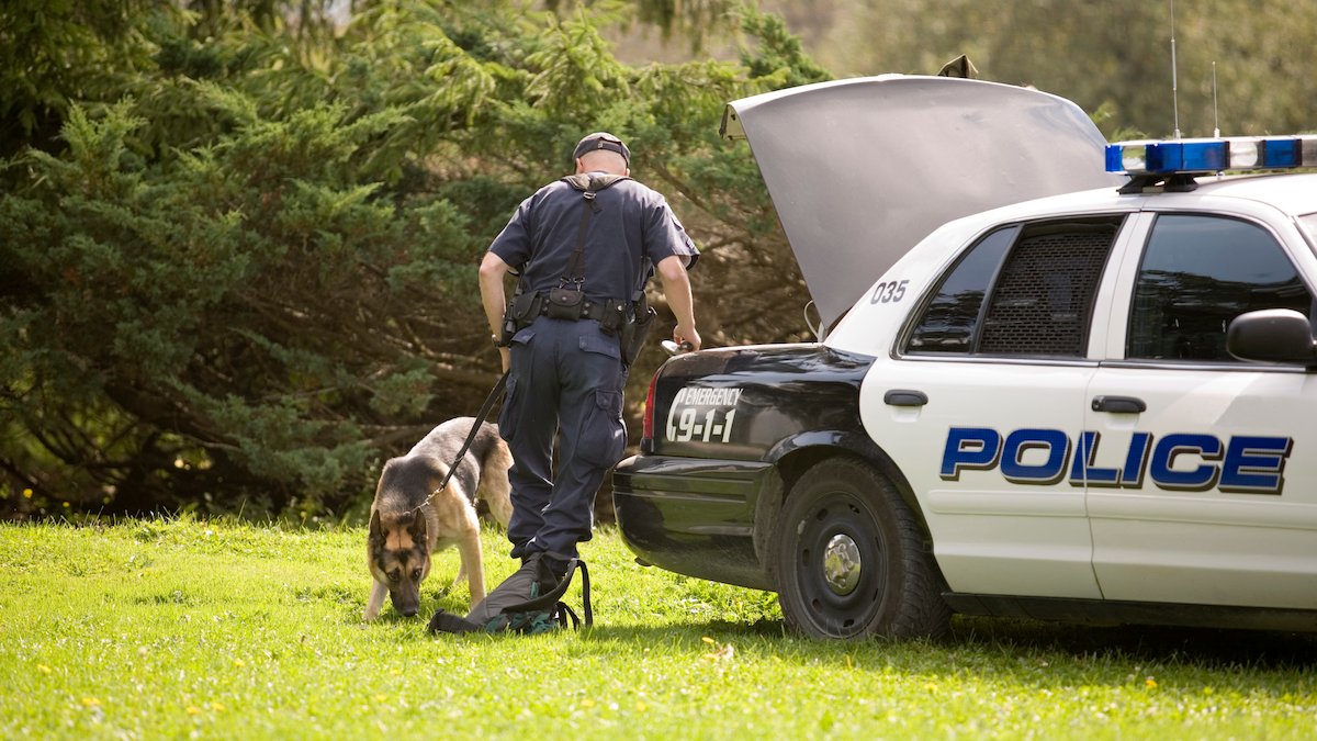 Kansas to increase penalties for harming police dogs – NBC4 Washington - Vimarsana News