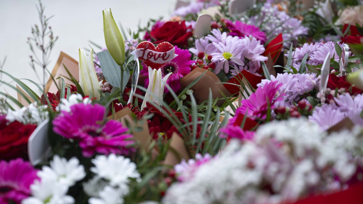 Charlotte mom gives flowers to 1,000 widows on Valentine's Day – NBC4 Washington - Vimarsana News