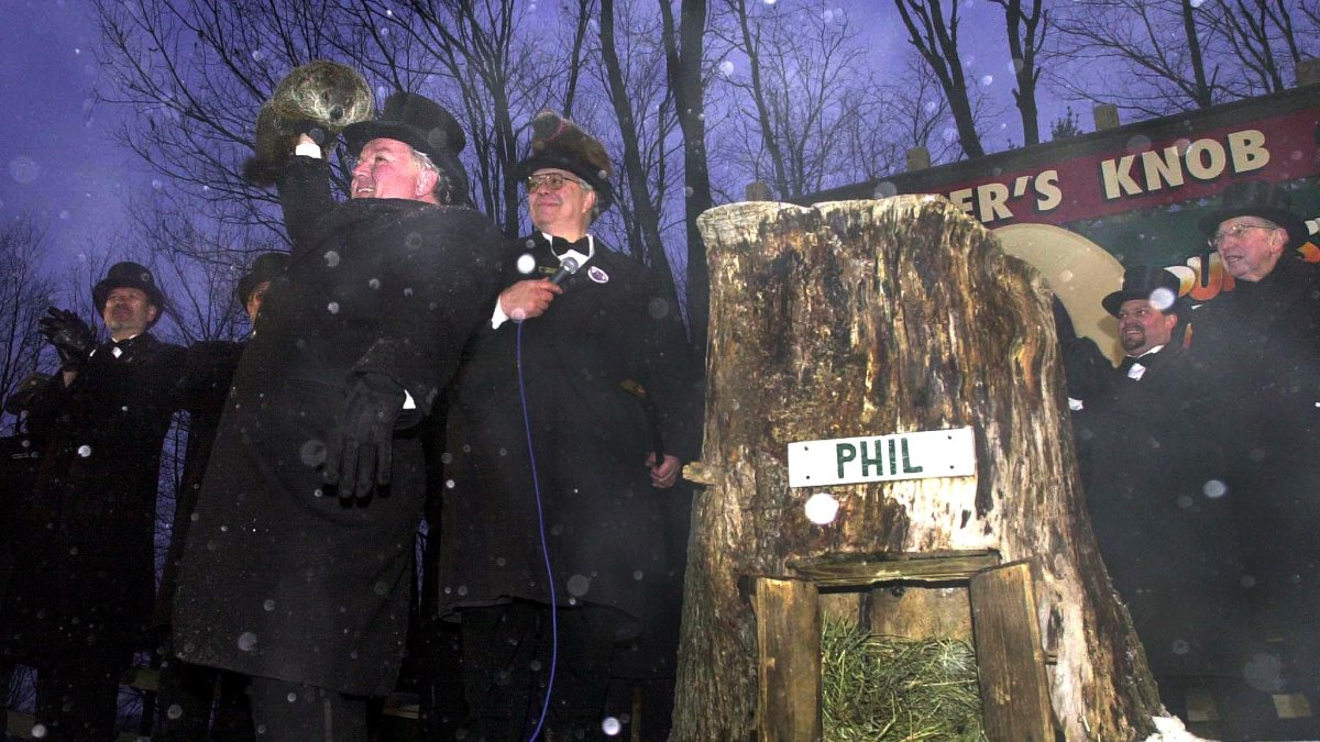 Why do we celebrate Groundhog Day? – NBC4 Washington - Vimarsana News