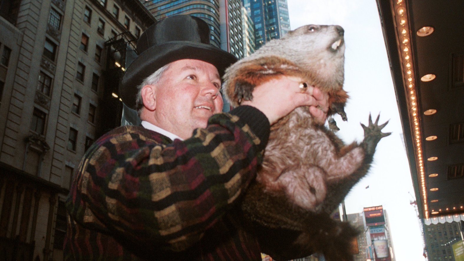 Groundhog Elixir Why do we celebrate Groundhog Day? – NBC4 Washington