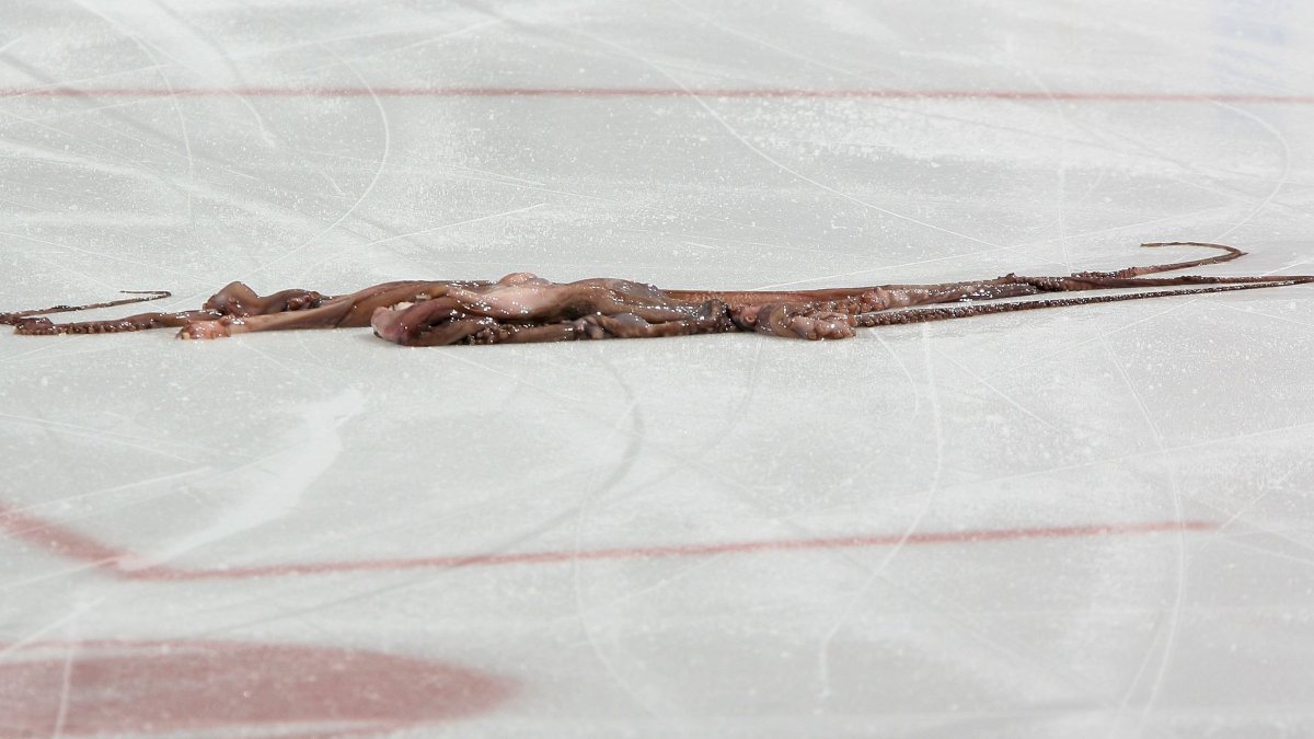 Why do Red Wings fans throw octopuses on the ice? NBC4 Washington