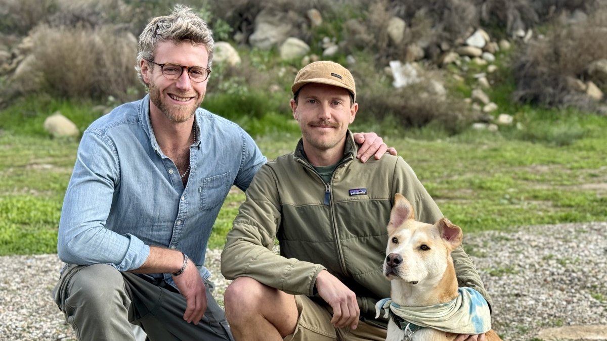 Runners save their dog from a mountain lion attack in So Cal – NBC4 Washington - Vimarsana News