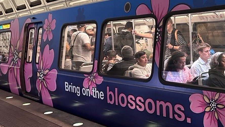 Metro to open early for the Cherry Blossom 10-Mile race. Here are the best stations to use - Vimarsana News