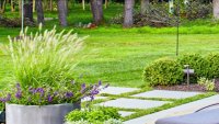 Spring garden and backyard design trends for 2024
