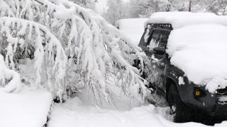 Snow covered tree blocks sidewalk of Franklin St. in Denver, Colorado