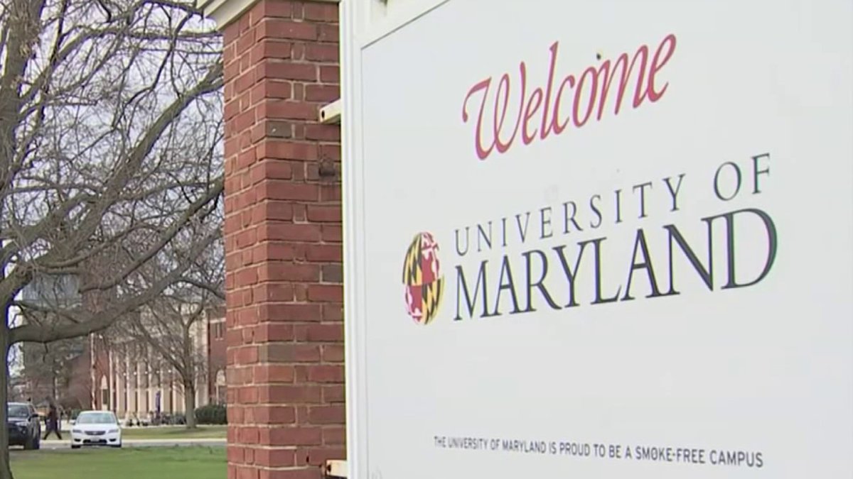 Greek organizations at UMD respond to hazing suspensions – NBC4 Washington