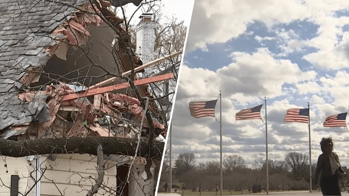 Trees topple, tourist attractions close as windstorm moves through DC area - Vimarsana News