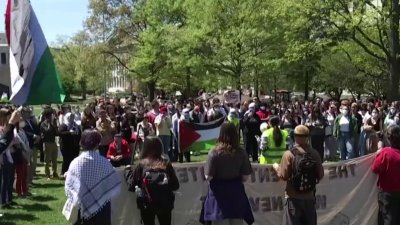 AU, UMD students protest war in Gaza: The News4 Rundown
