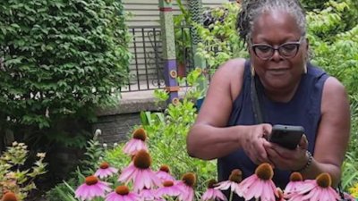 ‘Black Flora': Native Washingtonian's book highlights diversity in flower industry