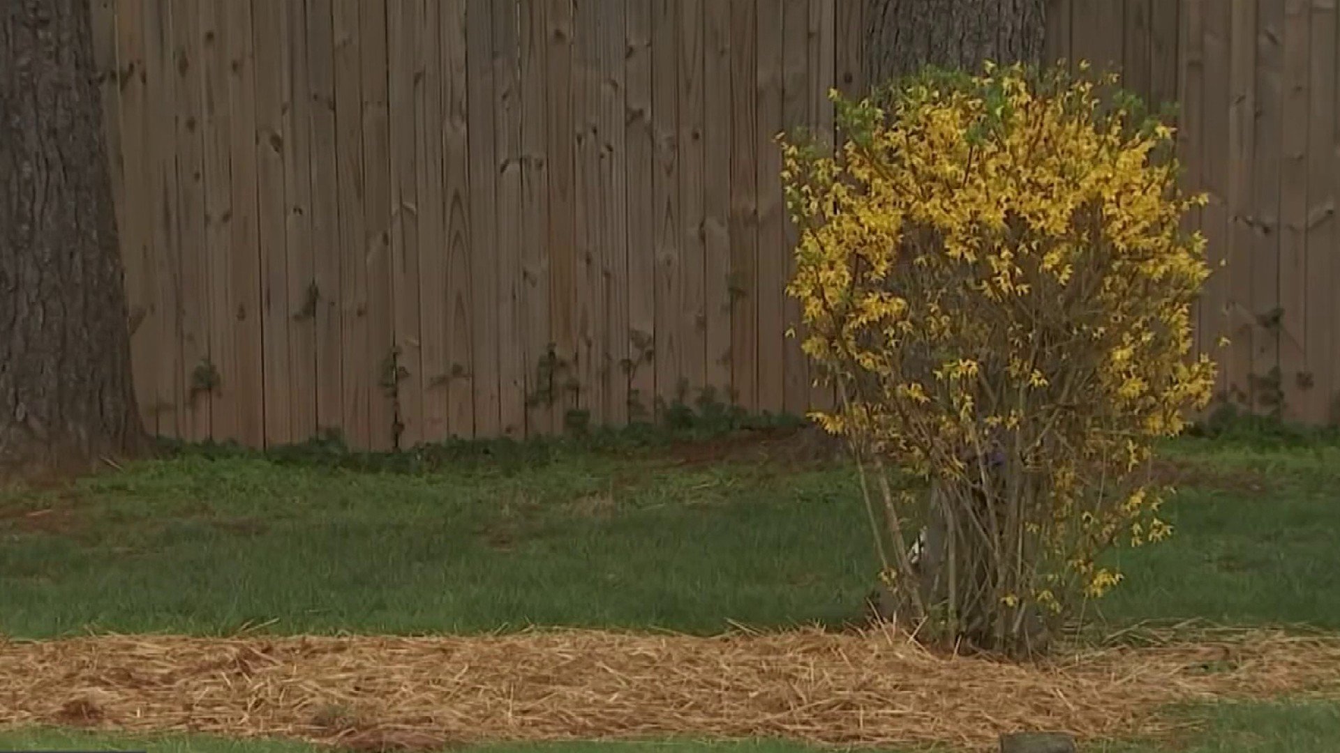 Jane Doe exhumed in Fauquier County to try and identify woman, solve case – NBC4 Washington - Vimarsana News