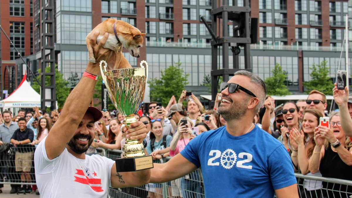 Small Dogs Bring Big Fun to The Wharf on May 4th! - Vimarsana News