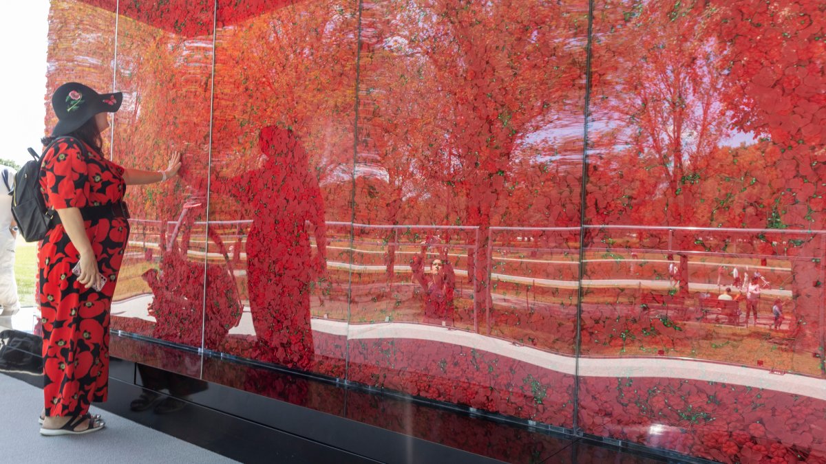 6 ways to honor Memorial Day 2024 in the Washington DC area NBC4