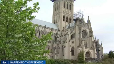 National Cathedral's 85th Flower Mart fundraiser blooms this weekend