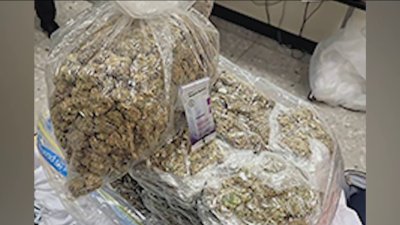 CBP officers at Dulles intercept hundreds of pounds of marijuana