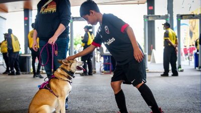 DC United hosts ‘Pups at the Pitch' night at Audi Field