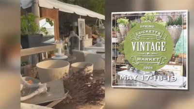 Lucketts Spring Market to bring 20 acres of vintage treasures to Virginia fairgrounds