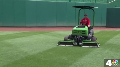 Why does the grass at Nationals Park appear in multiple shades of green?