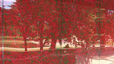 Poppy Wall of Honor returns to National Mall