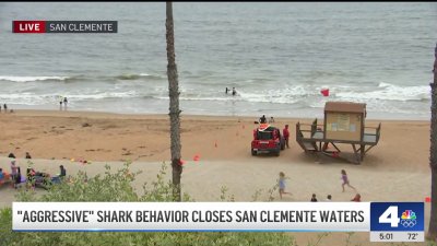 Surfer bumped by possible shark in ocean water off San Clemente